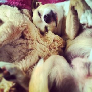 ❗️PLEASE BE AWARE❗️